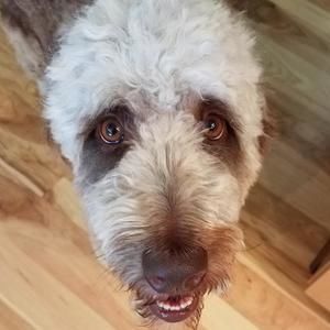 Meet your Posher, Becky